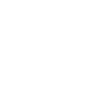 Chilliwack Ice Skates